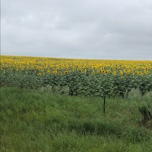 Meet your Posher, Cassie